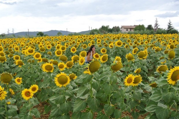 553862_10101003023909074_481952652_n